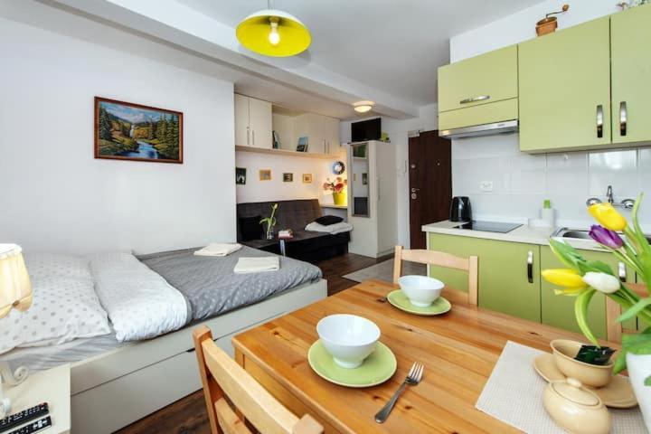 Cosy Studio Apartment 크라쿠프 외부 사진